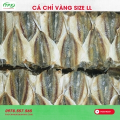 CÁ CHỈ VÀNG SIZE LỚN