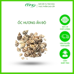 ỐC HƯƠNG ẤN ĐỘ SIZE 50/80 CON