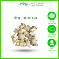 ỐC BULOT IRELAND SIZE 50/80