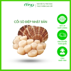 CỒI SÒ ĐIỆP NHẬT NGUYÊN VỎ SIZE 7/9