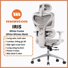 Ghế Công Thái Học Manson Iris – Lưới Wintex Trắng