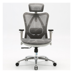 Ghế công thái học Sihoo M57 Màu Xám