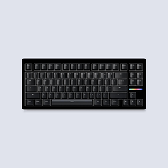 Wooting 80HE (PCR Black/PCR Ghost)