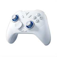 Tay cầm chơi Game Flydigi DireWolf 4