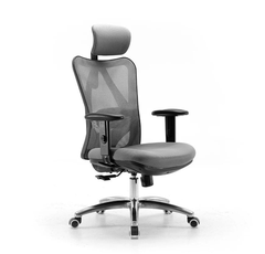 Ghế Công Thái Học SiHoo M18 Đệm Xám