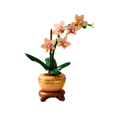 Bộ Mô Hình LEGO BOTANICALS Combo Đào Lan Cúc Thần Tài