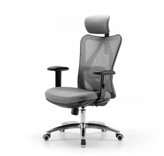 Ghế Công Thái Học SiHoo M18 Đệm Xám