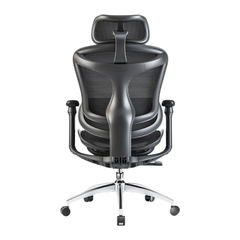Ghế Công Thái Học Sihoo A3 - Doro C300 - Black