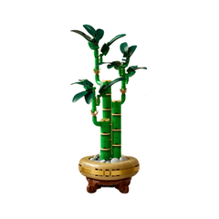 Bộ Mô Hình LEGO BOTANICALS Combo Đào Lan Cúc Thần Tài