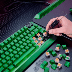 Bàn phím Razer BlackWidow V4 75% Phantom Green Edition