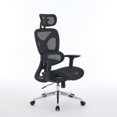 Ghế Công Thái Học EDRA EEC229