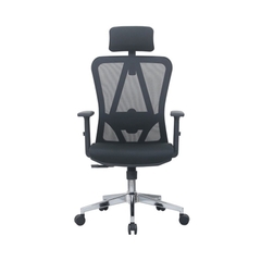 Ghế Công Thái Học Eergonomic E-Dra EEC213 Black