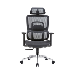 Ghế công thái học E-DRA - EEC220 (Đệm mông lưới)