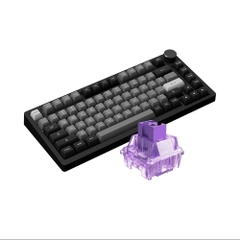Bàn phím cơ AKKO PC75B Plus Black & Silver - Switch