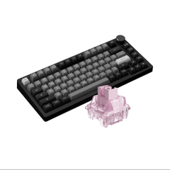 Bàn phím cơ AKKO PC75B Plus Black & Silver - Switch
