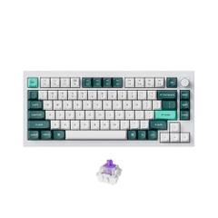 Bàn phím cơ không dây Keychron Q1 HE Carbon Black RGB Knob Hotswap (Gateron 2.0 Magnetic Sw)