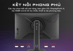 Màn hình ASUS ROG Strix XG259QNS 25″ Fast IPS 380Hz