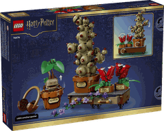 Bộ Mô Hình LEGO Harry Potter Lớp Học Thảo Dược Hogwart #76474