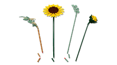 Mô Hình Bó Hoa Hướng Dương LEGO Botanical #11502