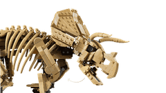 Bộ Mô Hình Hóa thạch khủng long ba sừng Triceratops  LEGO Jurassic World #77985