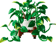 Bộ Mô hình Cây Trầu Bà Vàng  LEGO Icons #11512