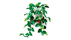 Bộ Mô hình Cây Trầu Bà Vàng  LEGO Icons #11512
