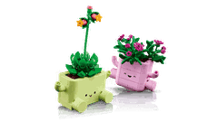 Bộ Mô Hình Chậu Cây Nhí Nhảnh LEGO BOTANICALS #11506