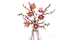 Bộ Mô Hình Nhánh Hoa Mộc Lan LEGO Botanical #11510