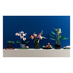 Bộ Mô Hình LEGO BOTANICALS Orchid Hoa Lan #10311