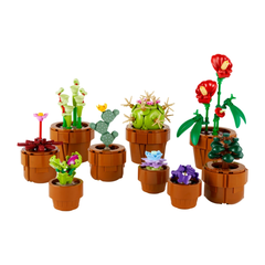 Bộ Mô Hình LEGO BOTANICALS Tiny Plants Bộ Sưu Tập Hoa Xương Rồng #10329