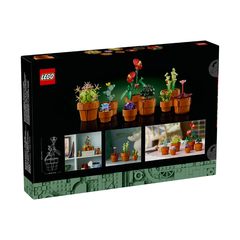 Bộ Mô Hình LEGO BOTANICALS Tiny Plants Bộ Sưu Tập Hoa Xương Rồng #10329