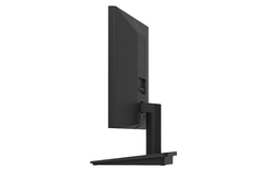 Màn hình máy tính LG Essential 20inch WSXGA TN 75Hz