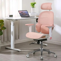 Ghế Công Thái Học Manson E3 Lite - Bản Lưới