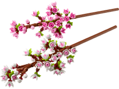 Bộ Mô Hình LEGO BOTANICALS Cherry Blossoms Hoa Anh Đào #40725