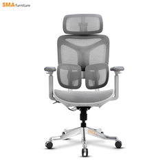 Ghế Công Thái Học SMA Yami (Wintex)