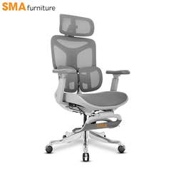 Ghế Công Thái Học SMA Yami (Wintex)