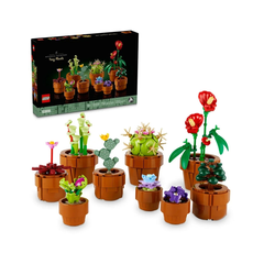 Bộ Mô Hình LEGO BOTANICALS Tiny Plants Bộ Sưu Tập Hoa Xương Rồng #10329