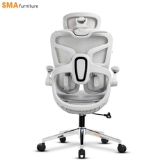 Ghế công thái học SMA Tanji Basic/Pro/Pro 2026