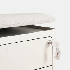 Tủ tài liệu thép HyperWork Ivy Pro