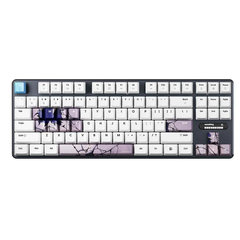 Bàn Phím Gaming HE Pulsar PCMK 3 HE TKL Something Edition