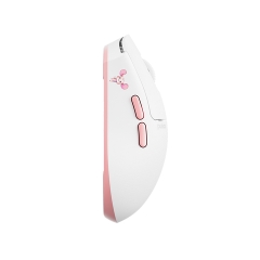Chuột Gaming Không Dây Pulsar Pro Series Jinggg-X Medium