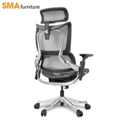 Ghế công thái học SMA Maza