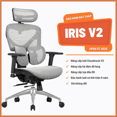 Ghế Công Thái Học Manson Iris Lưới Cloudmesh V2