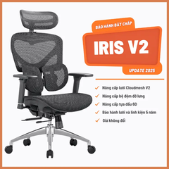 Ghế Công Thái Học Manson Iris Lưới Cloudmesh V2