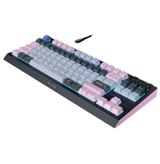 Bàn phím Không dây Razer BlackWidow V4 Tenkeyless HyperSpeed Wuthering Wave Edition