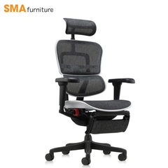 Ghế công thái học Ergohuman Gaming X9