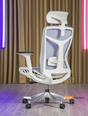 Ghế Công Thái Học SMA Ergonomic 03 – E03 – Lưới Xanh