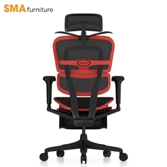 Ghế công thái học Ergohuman Gaming X9
