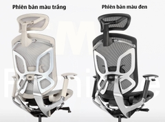 Ghế công thái học GTChair Dvary Butterfly