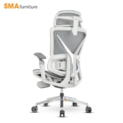 Ghế công thái học SMA Massage Chair EM-01